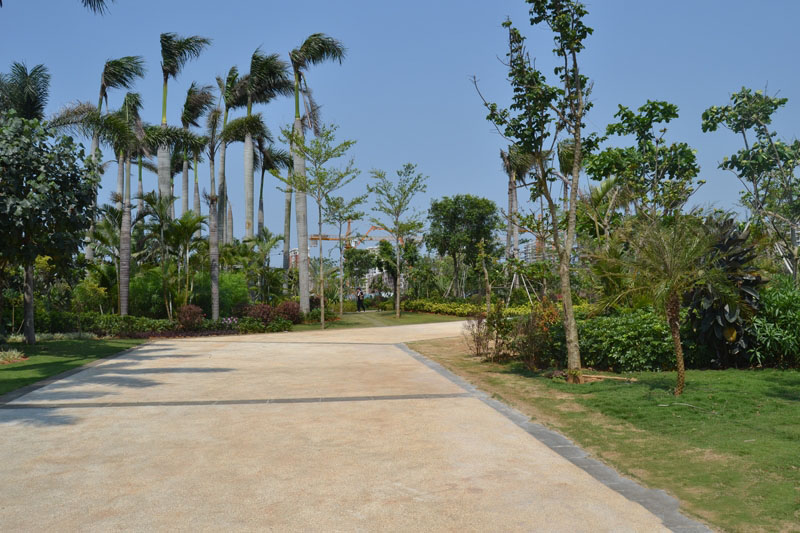 园林小道 