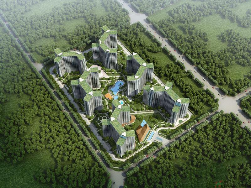 鸟瞰图 