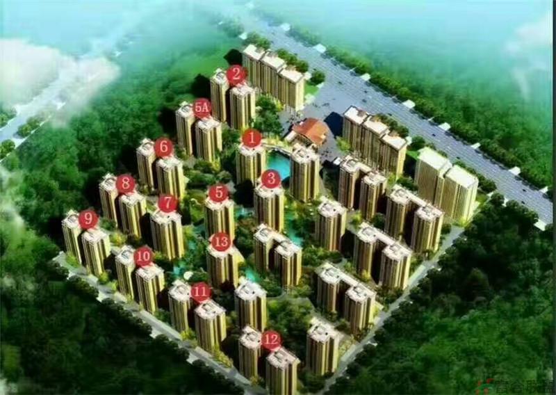 鸟瞰图 