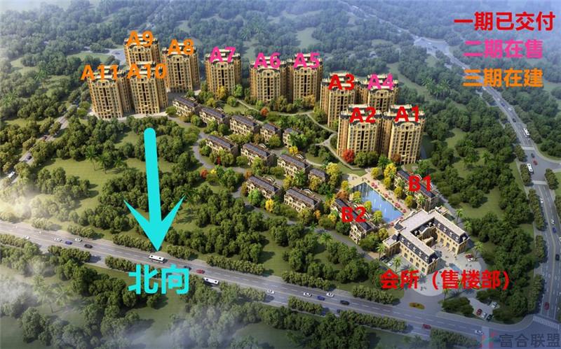 鸟瞰图 