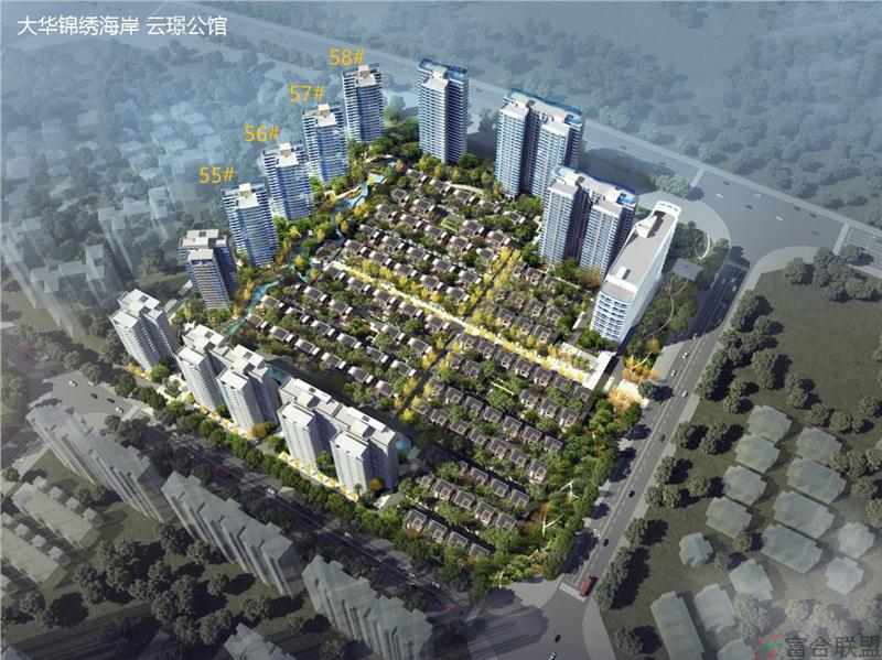 鸟瞰图 