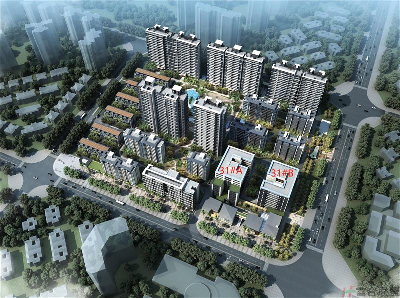 鸟瞰图.jpg 