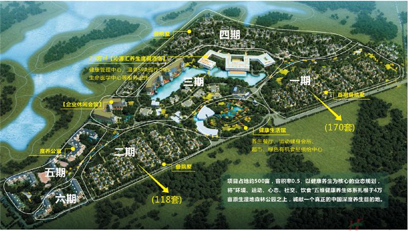 鸟瞰图 