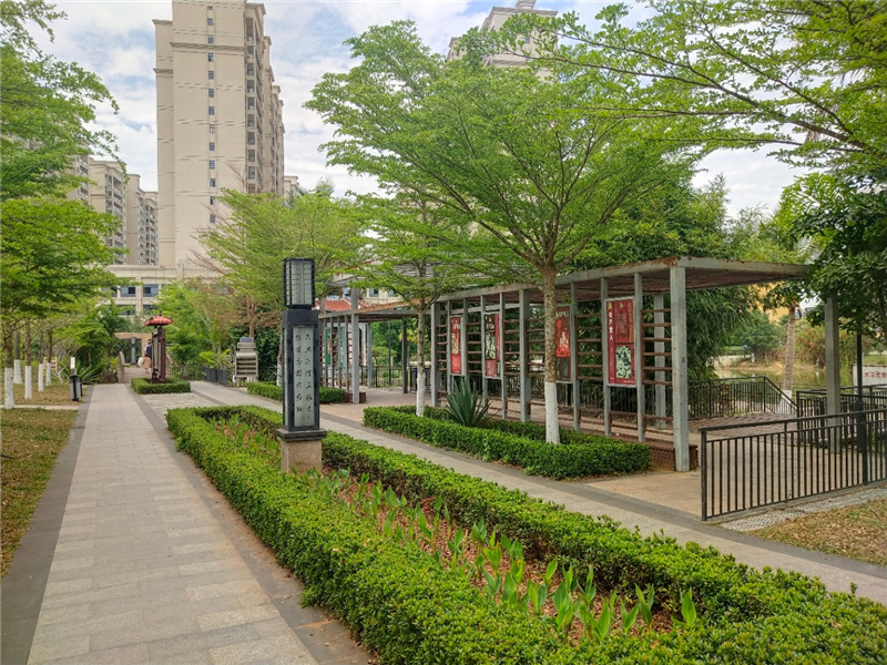 实景图7 