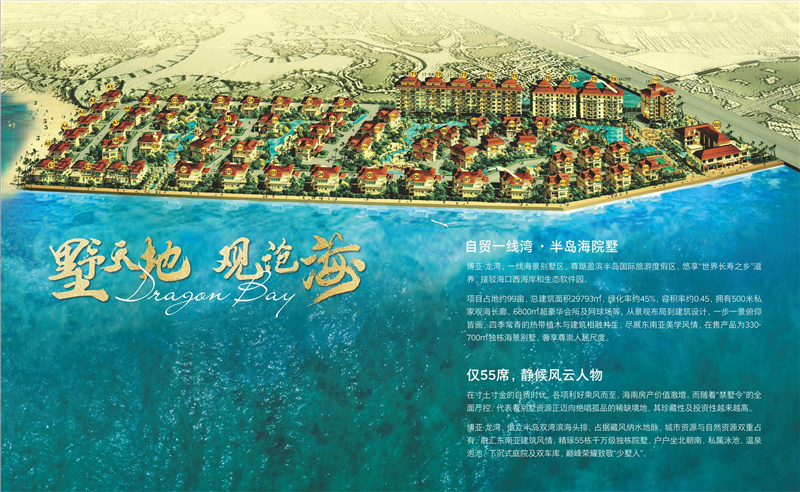鸟瞰图 
