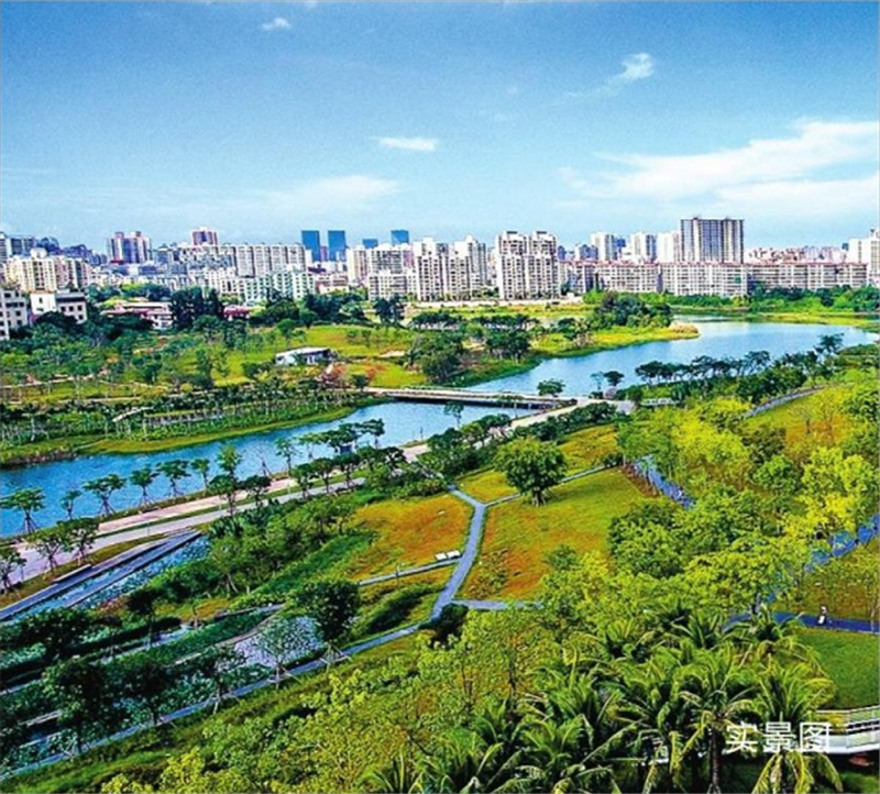 实景图1 