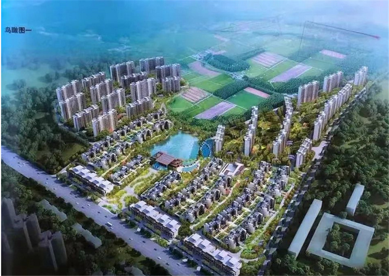 鸟瞰图 