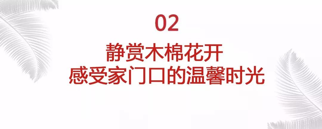 1542157065720123.jpg