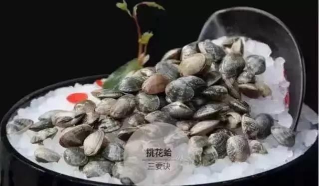 微信图片_20181212171845.jpg