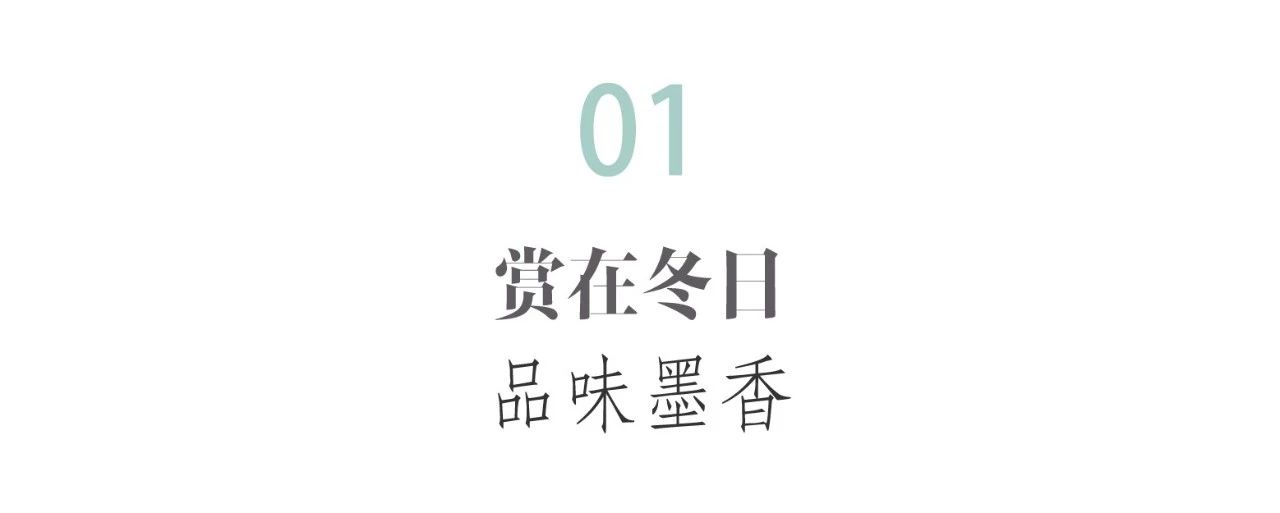 1545013209496373.jpg