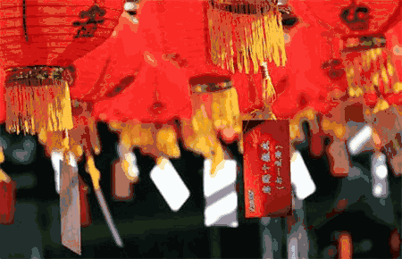 1550547065451815.gif
