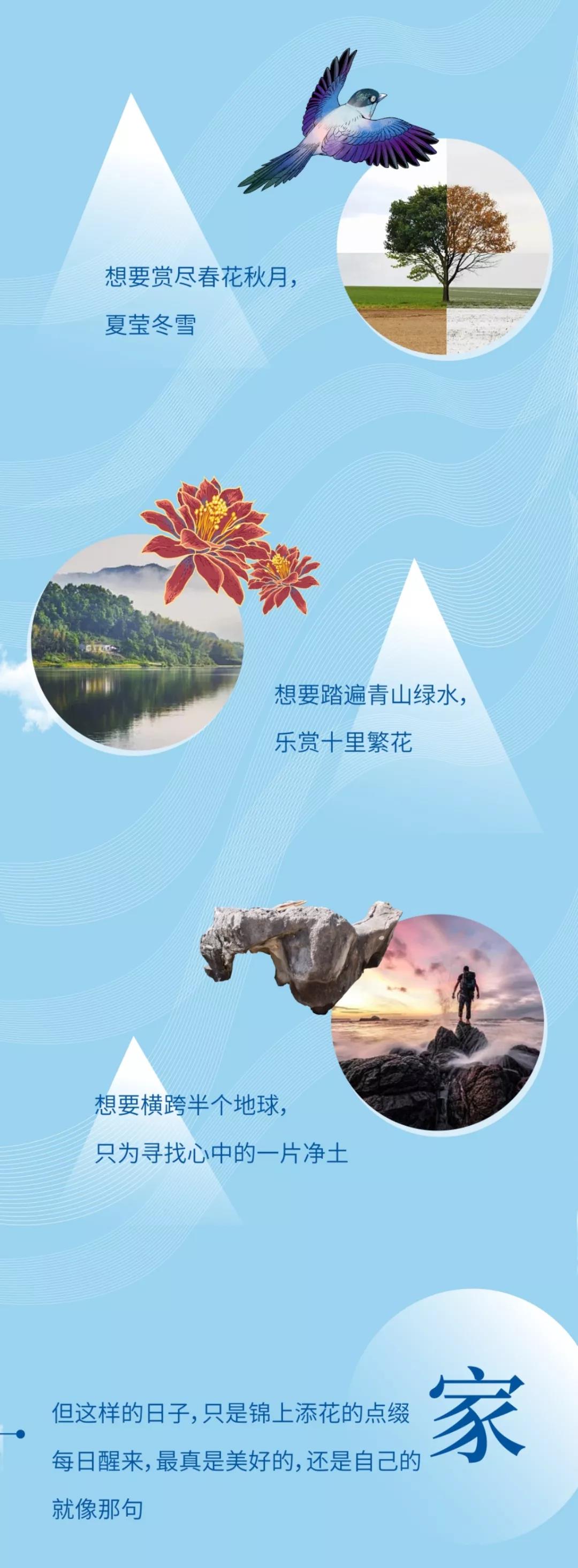 1569654393165912.jpg