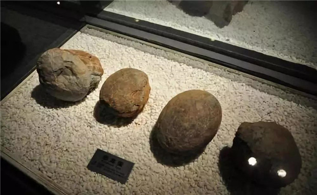 1574664142440439.jpg