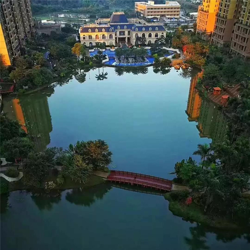 1593220721212547.jpg