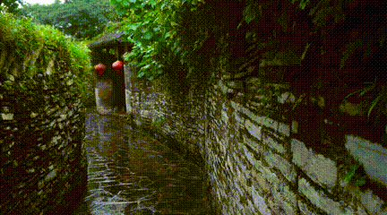 1635124160186766.gif