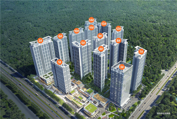 鸟瞰图.jpg