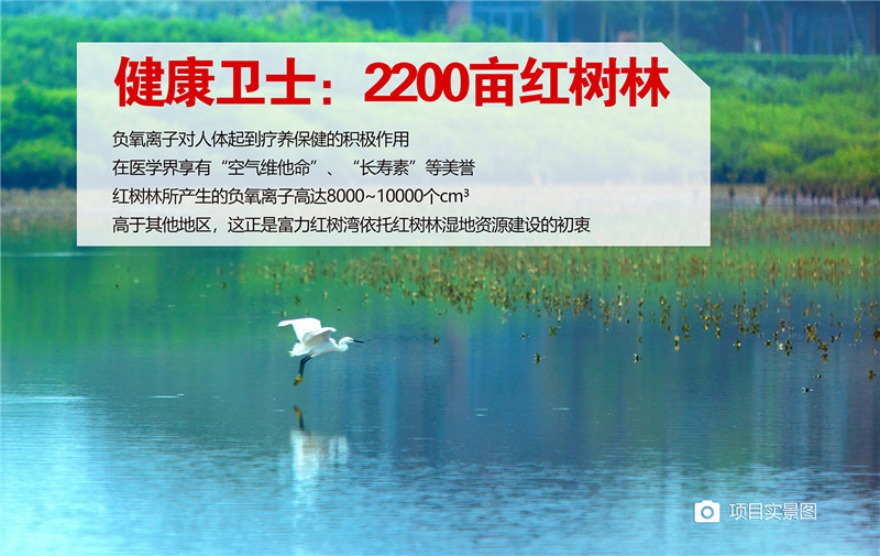 1639447206290437.jpg