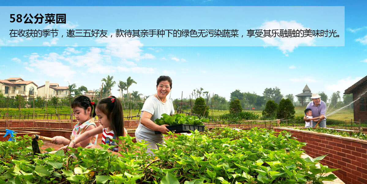 富力红树湾