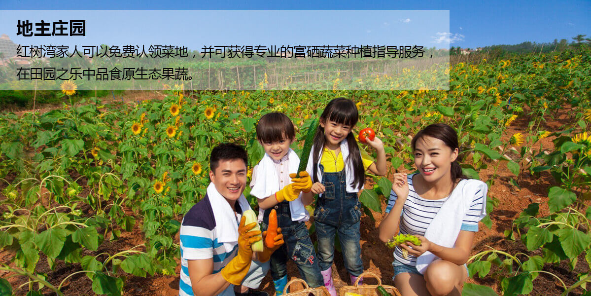 富力红树湾