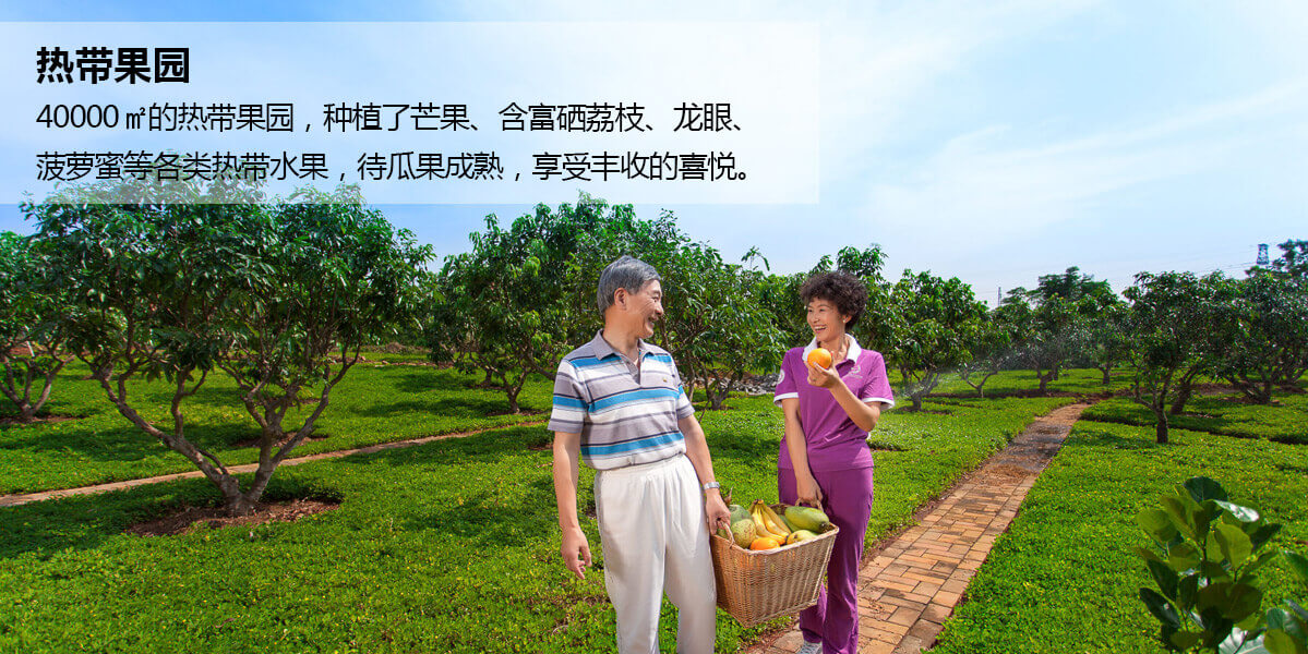 富力红树湾